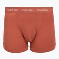 Pánské boxerky Calvin Klein 0000U2662G Trunk 3 pairs sodalite blue/redwood/white peppe 6
