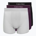 Pánské boxerky Calvin Klein LV00NB4394 Brief black/harbor mist/dark purple w/ dt