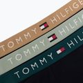 Pánské boxerky Tommy Hilfiger Trunk WB 3 pack nb//saf canvas/mnty grey/deep spru 6