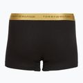 Pánské boxerky Tommy Hilfiger Trunk Metallic gold/burgundy/green 5