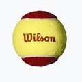 Sada dětských tenisových míčků Wilson Starter Red Tballs 36 ks žlutá/červená WRT13700B 3
