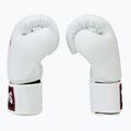 Dětské boxerské rukavice Twins Special BGVS3 white 4