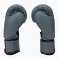 Dětské boxerské rukavice Twins Special BGVS3 grey 4