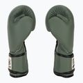 Boxerské rukavice Fairtex F-DAY Limited Edition pickle 4