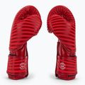 Boxerské rukavice Fairtex Microfiber Art Collections Minimalism Art red 4