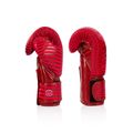 Boxerské rukavice Fairtex Microfiber Art Collections Minimalism Art red 3