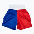 Boxerské trenýrky Fairtex BT2001 'Philippines' červeno-bílo-modré boxerské trenýrky 2