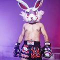Pánské tréninkové šortky YOKKAO Angry Rabbit Muay Thai black 6