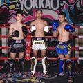 Pánské tréninkové šortky YOKKAO Original Muay Thai white 5