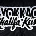 Pánské tréninkové šortky YOKKAO Khalifa Kush Muay Thai black 4