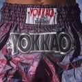 Pánské tréninkové šortky YOKKAO Lunar Muay Thai iridescent blue grey 13
