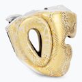 Boxerská helma  Top King Super Star white/gold 2