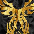 Pánské  šortky Top King Kickboxing 4