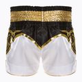 Tréninkové šortky Top King Kickboxing multicolor 2
