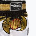 Tréninkové šortky Top King Kickboxing multicolor 3