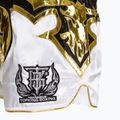 Tréninkové šortky Top King Kickboxing multicolor 4