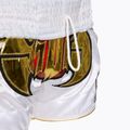 Tréninkové šortky Top King Kickboxing multicolor 5