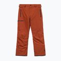 Pánské snowboardové kalhoty Volcom L Gore-Tex Pant Burnt Orange 10