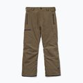 Pánské snowboardové kalhoty Volcom L Gore-Tex Pant Teak 9