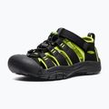 Dětské sandály KEEN Newport H2 black/lime green 4