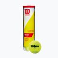 Wilson Champ Xd Tball tenisové míče 4 ks žluté WRT110000