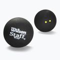 Squashové míčky  Wilson Staff Ball Double Yellow Dot 3 ks black