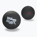 Squashové míčky  Wilson Staff Ball Red Dot 3 ks black
