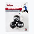 Squashové míčky  Wilson Staff Ball Red Dot 3 ks black 2