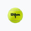 Sada tenisových míčků Wilson Roland Garros Clay Ct 4 ks žlutá WRT115000 3