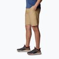 Pánské trekingové kraťasy Columbia Washed Out hnědé 1491953243 3