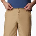 Pánské trekingové kraťasy Columbia Washed Out hnědé 1491953243 4