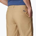 Pánské trekingové kraťasy Columbia Washed Out hnědé 1491953243 5