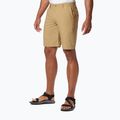 Pánské trekingové kraťasy Columbia Washed Out hnědé 1491953243