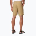 Pánské trekingové kraťasy Columbia Washed Out hnědé 1491953243 2