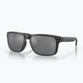 Sluneční brýle  Oakley Holbrook matte black/prizm black polarized