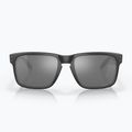 Sluneční brýle  Oakley Holbrook matte black/prizm black polarized 3