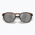 Sluneční brýle Oakley Latch matte brown tortoise 5