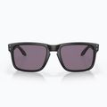 Sluneční brýle  Oakley Holbrook matte black/prizm grey 2