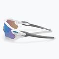 Sluneční brýle  Oakley Radar EV Path polished white/prizm sapphire 8