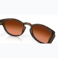 Sluneční brýle  Oakley Latch matte brown tortoise/prizm brown gradient 7