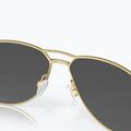 Sluneční brýle Oakley Contrail sating gold/prizm black 6