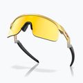 Dětské sluneční brýle Oakley Resistor gold/prizm 24k 4