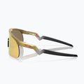 Dětské sluneční brýle Oakley Resistor gold/prizm 24k 6