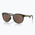 Oakley Hstn olive ink/prizm tungsten polarizační sluneční brýle 5