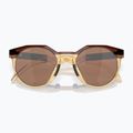 Sluneční brýle Oakley Hstn dark amber/light curry 10