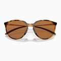 Sluneční brýle  Oakley Sielo polished brown tortoise/prizm bronze polar 6