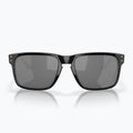 Sluneční brýle Oakley Holbrook black 2