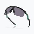 Dětské sluneční brýle Oakley Resistor black/prizm grey 4