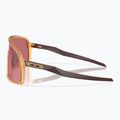 Sluneční brýle Oakley Sutro matte trans light curry/prizm dark turtleneck 5
