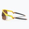 Dětské sluneční brýle Oakley Resistor yellow/prizm tungsten 5